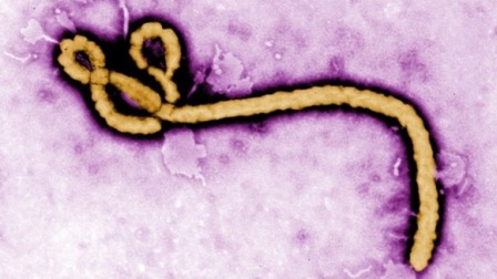 Anh - Mỹ cảnh báo Ebola có thể trở thành đại họa ảnh 1